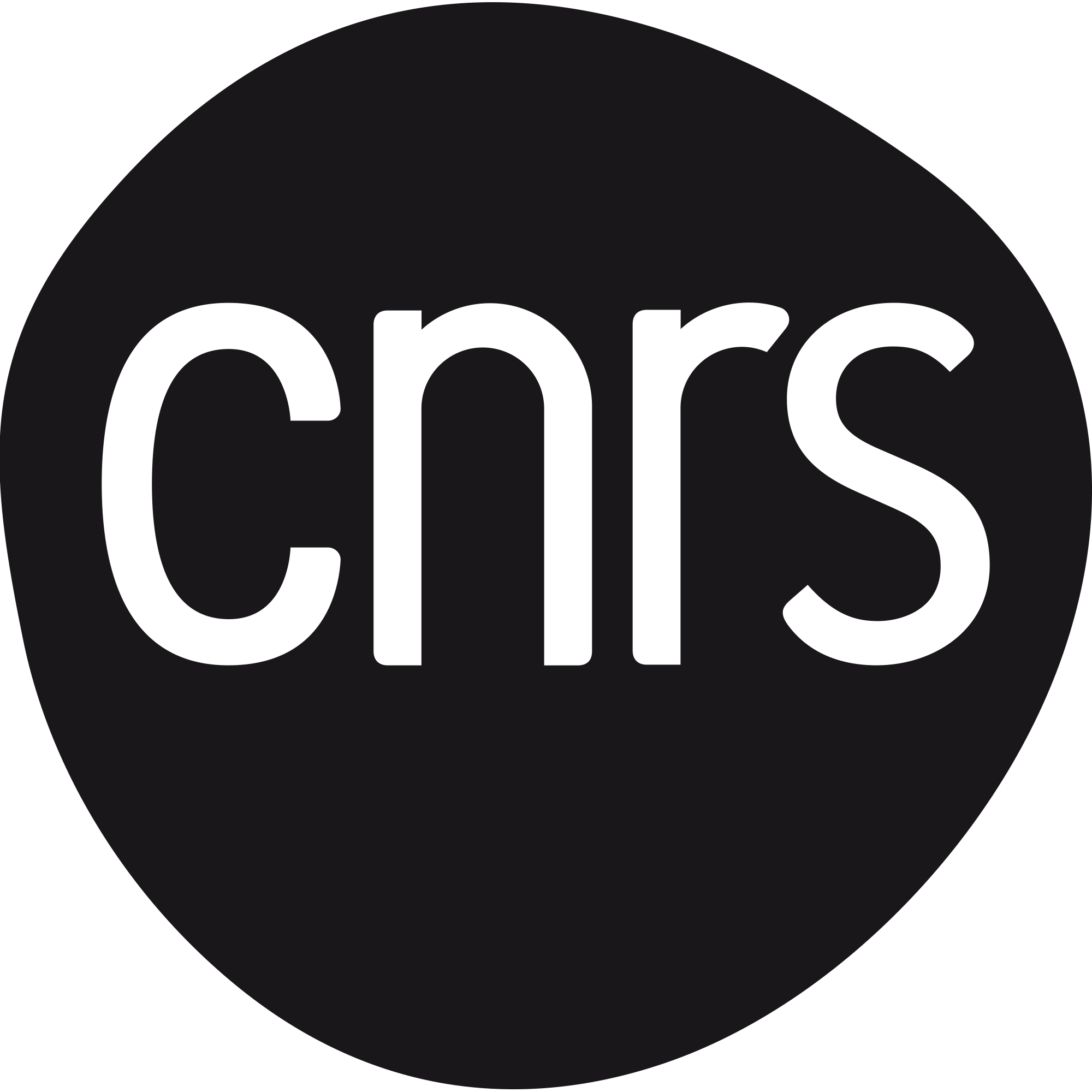 Logo CNRS