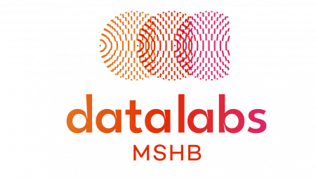 Logo Datalabs MSHB