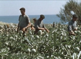 Extrait du film Les agriculteurs (1965)