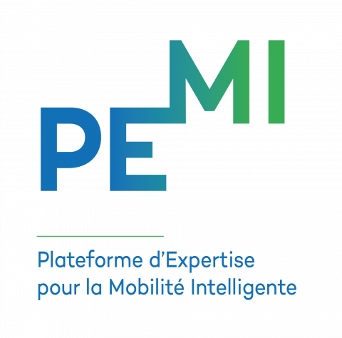 Logo PEMI