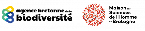Logos ABB / MSHB